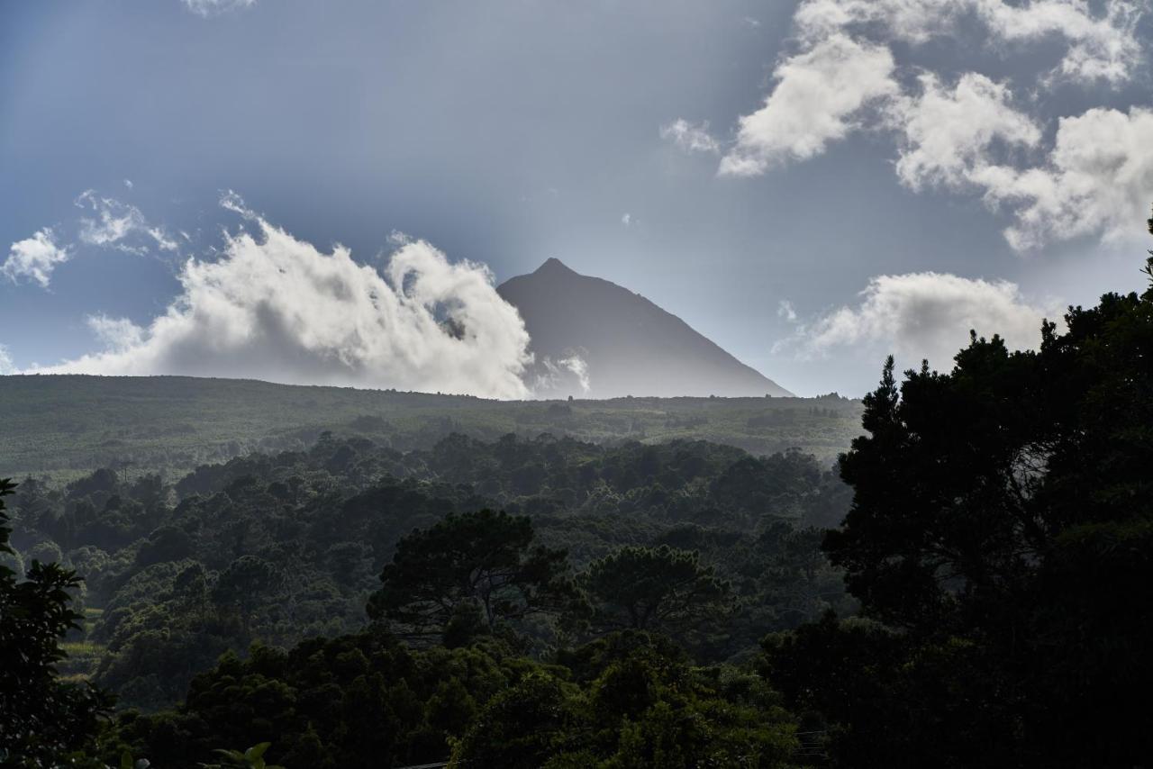 Villa 4 Seasons Sao Roque do Pico Bagian luar foto