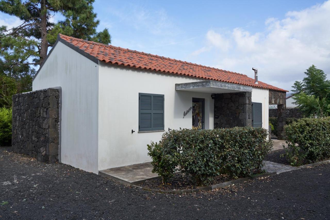 Villa 4 Seasons Sao Roque do Pico Bagian luar foto