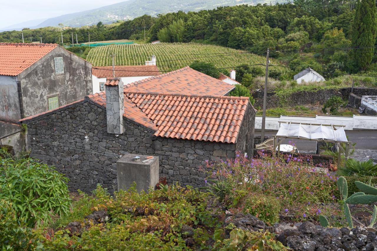 Villa 4 Seasons Sao Roque do Pico Bagian luar foto