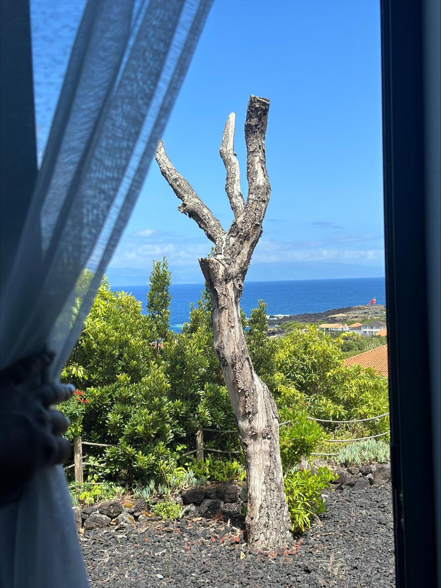Villa 4 Seasons Sao Roque do Pico Bagian luar foto
